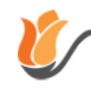 Tulip Creation Travels & Tours